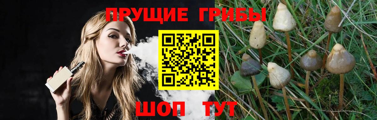 Бахчисарай  Псилоцибиновые грибы мицелий  Вход с VPN 